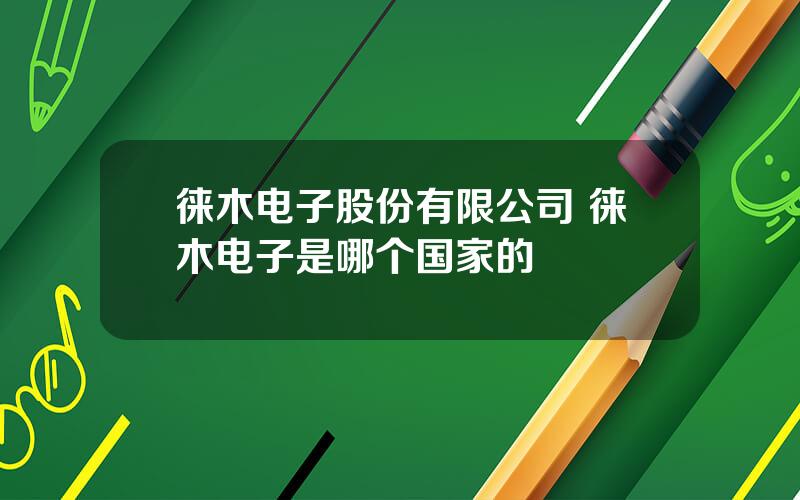 徕木电子股份有限公司 徕木电子是哪个国家的